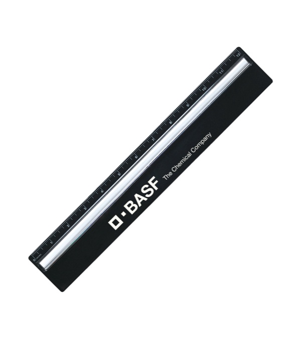 Plastic 12 Ruler With Magnifying Glass