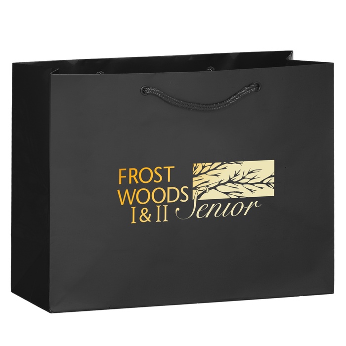 Imprinted Gloss 13 x 5 x 10 Shopping Bags