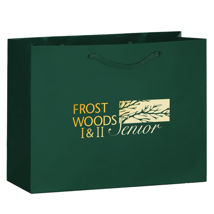 Imprinted Gloss 13 x 5 x 10 Shopping Bags