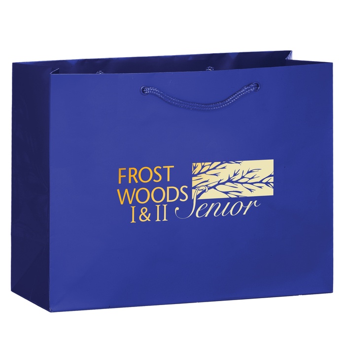 Imprinted Gloss 13 x 5 x 10 Shopping Bags