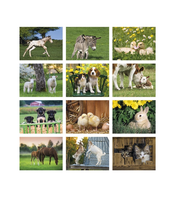 Baby Farm Animals Wall Calendar
