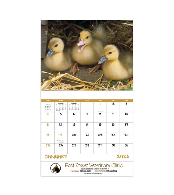 Baby Farm Animals Wall Calendar 2026