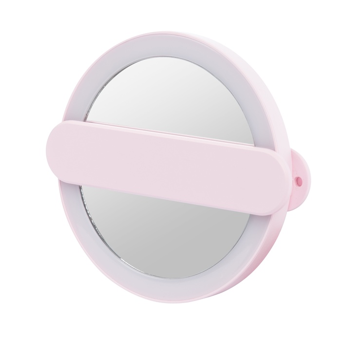 LED Mirror With Swivel Handle