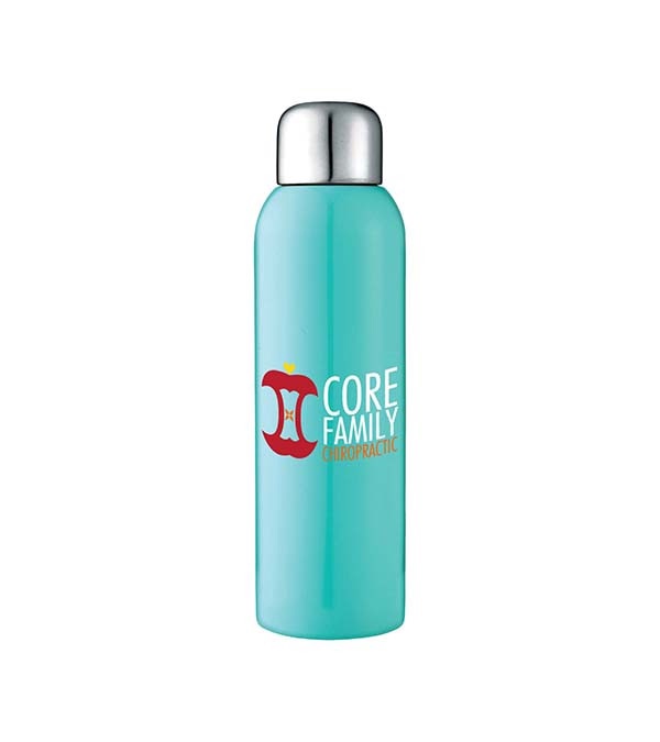 Guzzle 28 oz. Stainless Sports Bottle