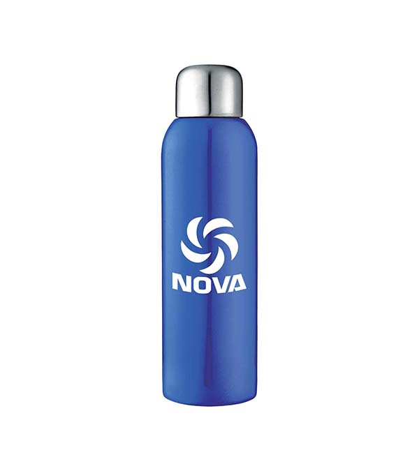 Guzzle 28 oz. Stainless Sports Bottle