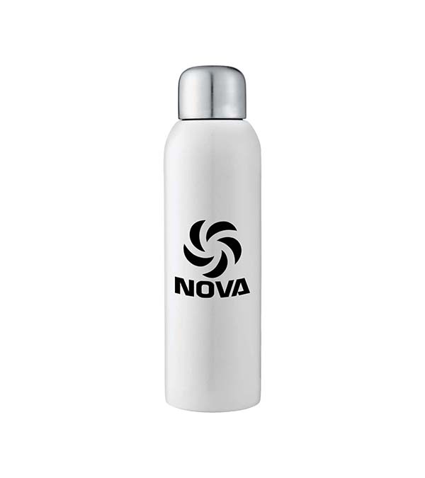 Guzzle 28 oz. Stainless Sports Bottle