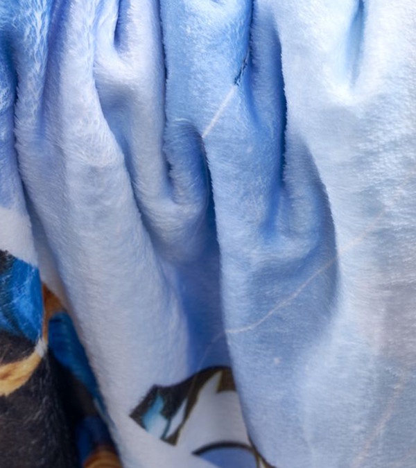 100% Polyester Mini Epic Plush Sublimated Blanket