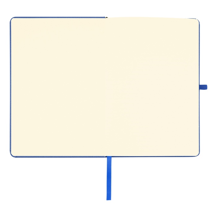 Regent Sparkle Journal