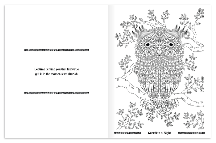 Good Value™ Wild Wonders Adult Coloring Book