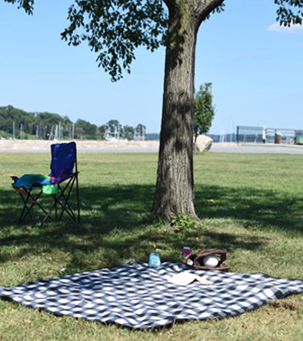 Picnic Blanket-Patterns Full Color
