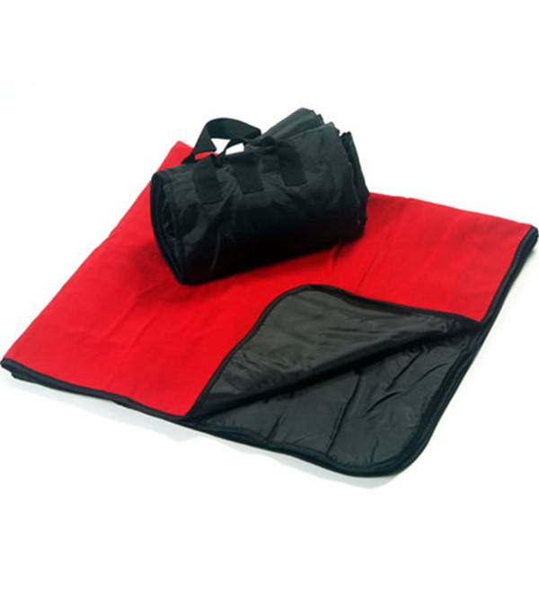 Picnic Blanket-Full color