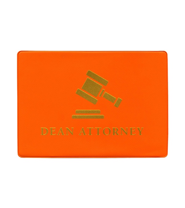 Insurance Card Holder
