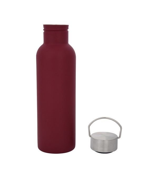 28 oz. Tipton Stainless Steel Bottle