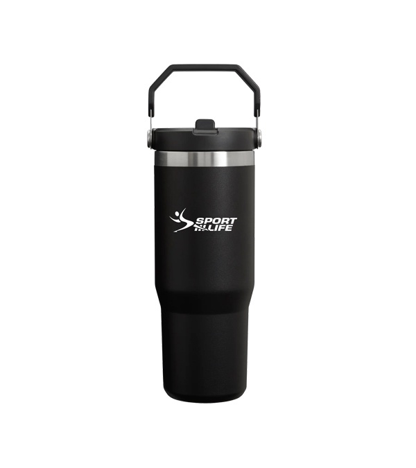 Stanley IceFlow Flip Straw Tumbler 30 oz.-Screen Print
