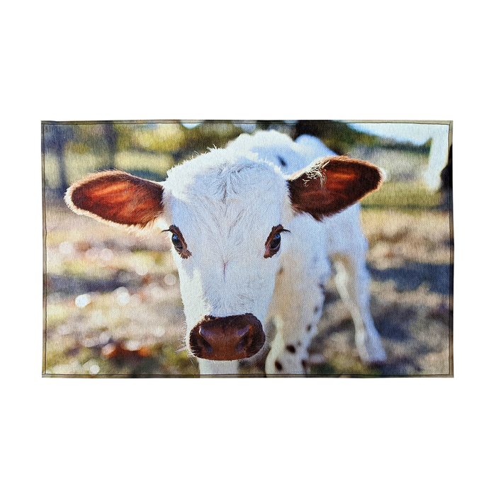 Indoor Rug 19.7" x 31.5"