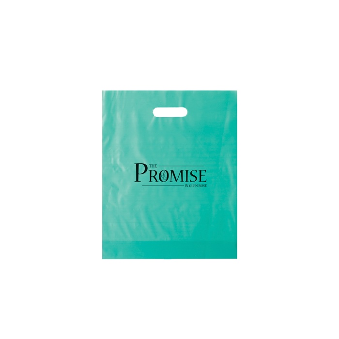 Frosted Die Cut Bag - 12" x 15" x 3"