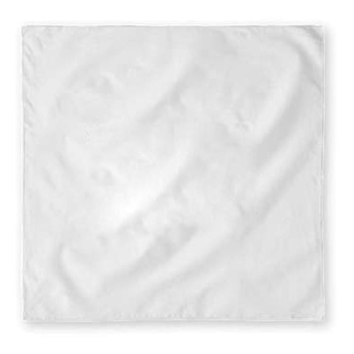 19" x 19" Full Color Dog Bandana