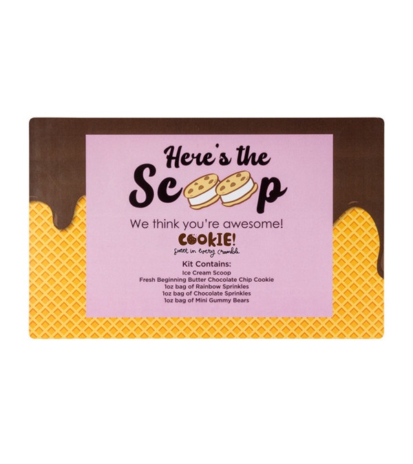 Make Your Own Ice Cream Sandwich Kit