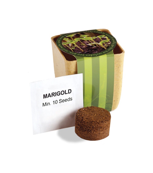Flower Pot Set With Marigold Seeds