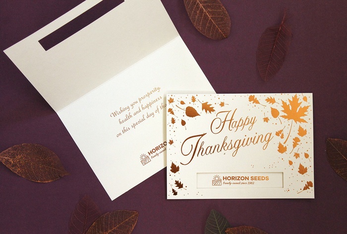 Premium Scattered Thanksgiving Leaves Greeting Card