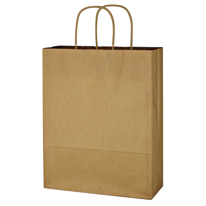 Kraft Paper Brown Shopping Bag - 10" W x 13" H