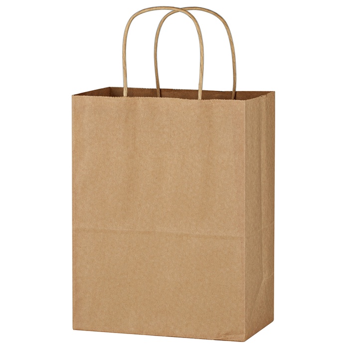 Kraft Paper Brown Shopping Bag - 8 x 10-1/4