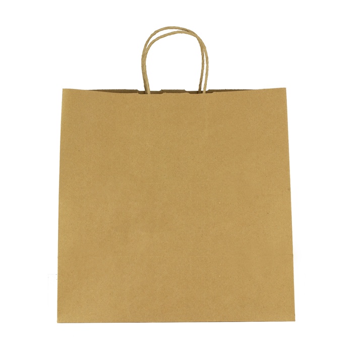 Kraft Paper Brown Shopping Bag - 10"W x 10"H