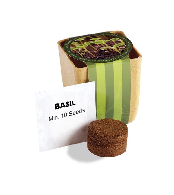 Flower Pot Set With Basil Seeds