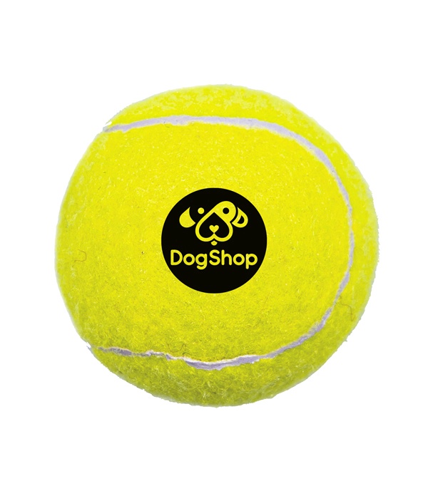 Pet-Fetch-Toy-Tennis-Ball