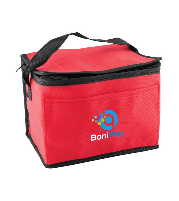 Non-Woven Lunch Cooler Bag - 4CP
