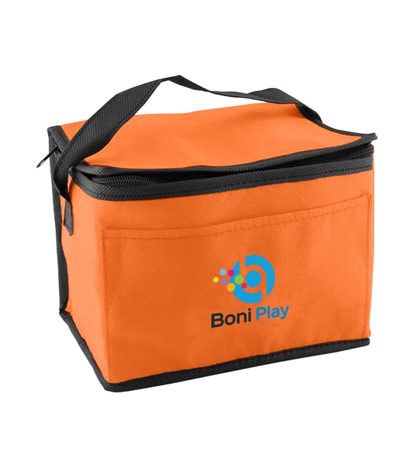 Non-Woven Lunch Cooler Bag - 4CP