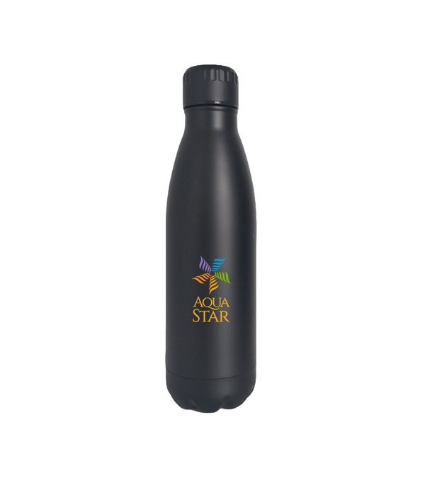 17 oz. Petra Vacuum Bottle - Full Color Imprint