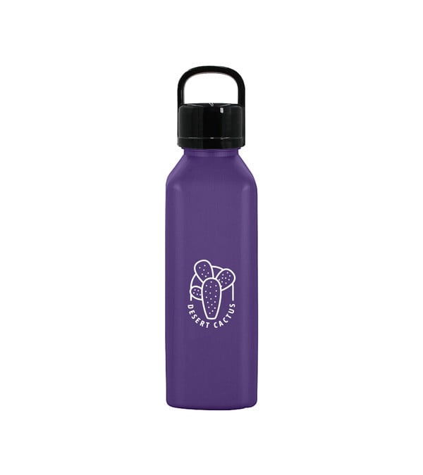 24 oz. Classic Edge Bottle with Handle Lid