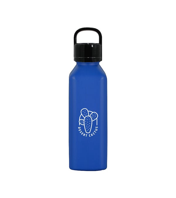24 oz. Classic Edge Bottle with Handle Lid