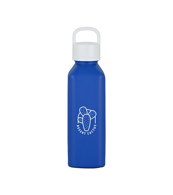 24 oz. Classic Edge Bottle with Handle Lid