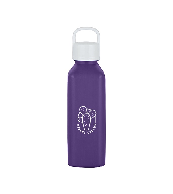 24 oz. Classic Edge Bottle with Handle Lid
