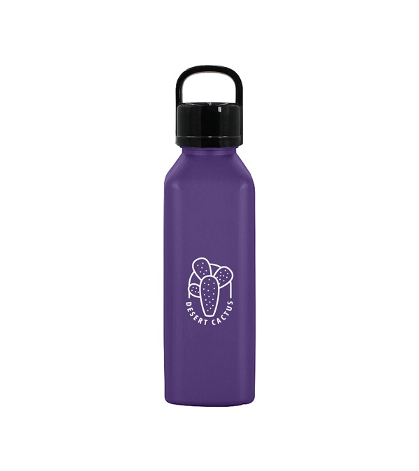24 oz. Classic Edge Bottle with Handle Lid