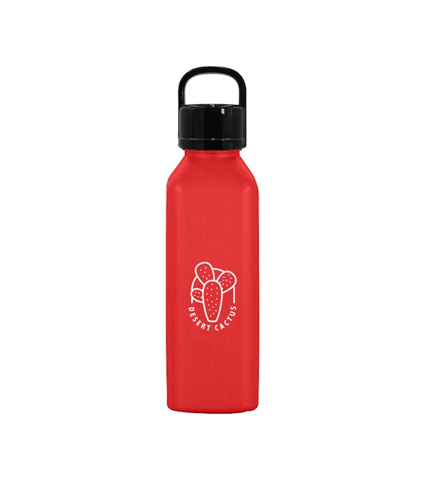 24 oz. Classic Edge Bottle with Handle Lid