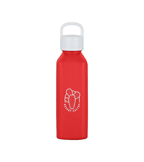 24 oz. Classic Edge Bottle with Handle Lid