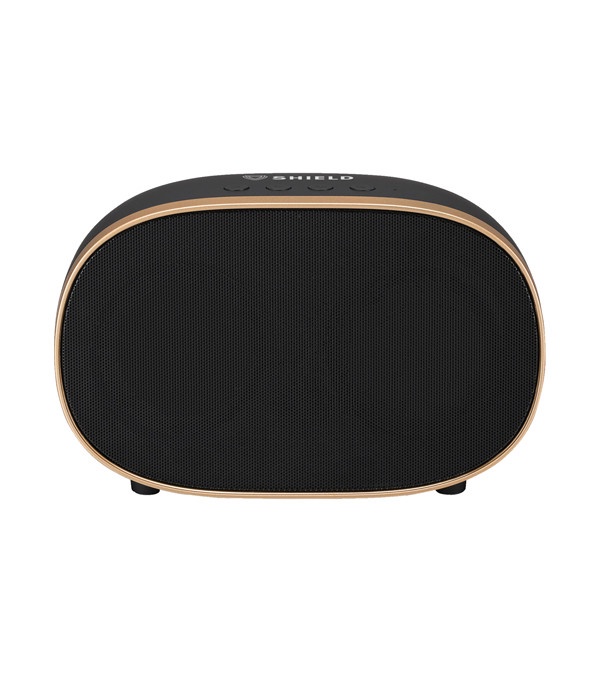 iLive Retro Wireless Bluetooth Speaker