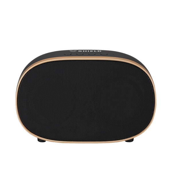 iLive Retro Wireless Bluetooth Speaker