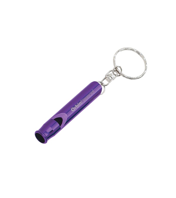 Whistle Key Ring
