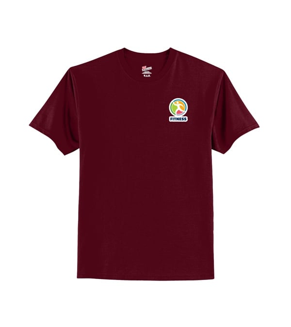 Hanes Men's Authentic-T T-Shirt - Screen Print
