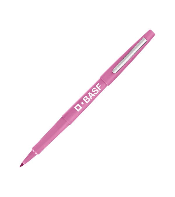 Paper Mate Flair
