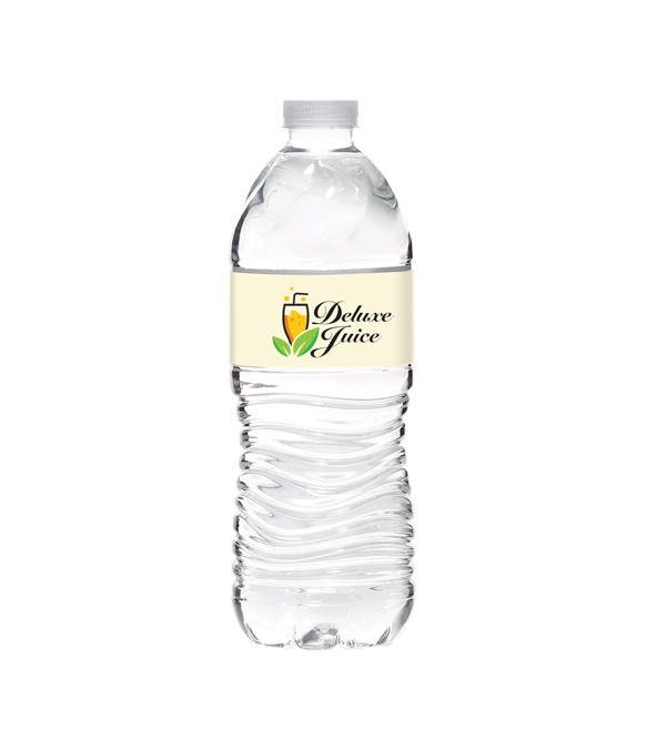 16.9 oz. Bottled Water