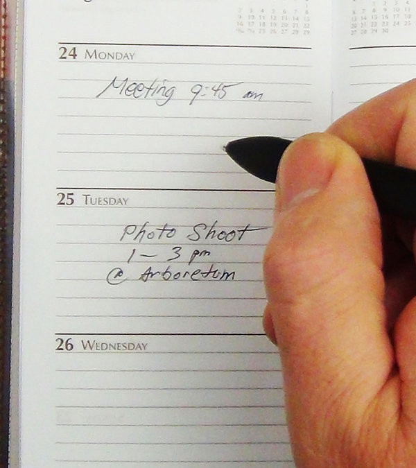 Windsor Gilded Pocket Pal Calendar with Corners