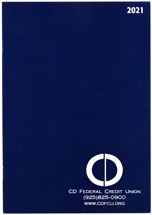 Custom Budget Monthly Desk Planner - 2026