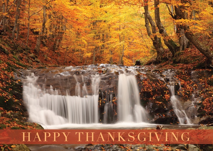Woodland Waterfall Thanksgiving Card