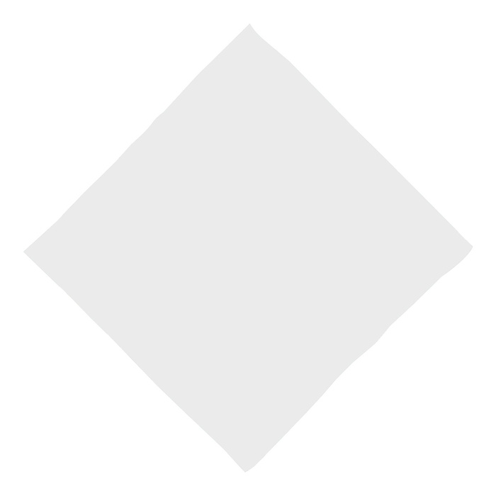 16" x 16" Full Color Dog Bandana