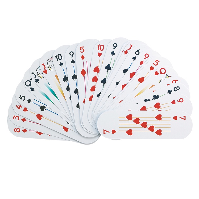 Deck of Cards & Case